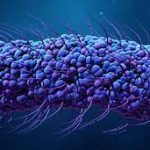 thypid thypid